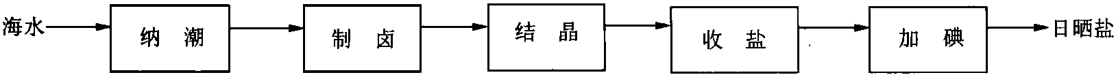 1103 日曬鹽